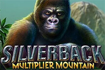 Silverback Multiplier Mountain